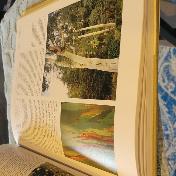 Book,Flower,"Growing Fragrant  Flowers" Lg.Coffee table book.Like NEW - Picture 9 of 16